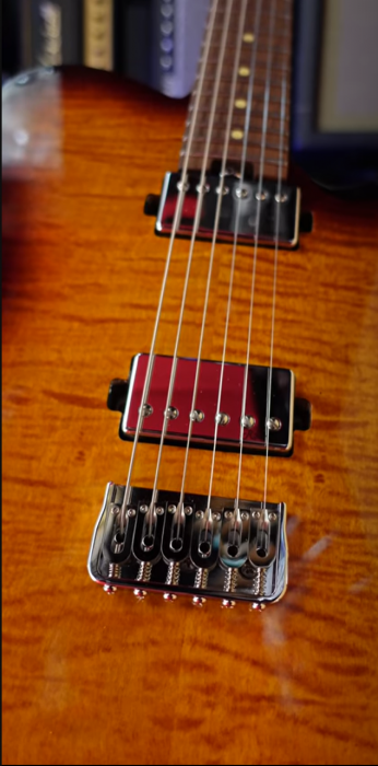 Harley Benton Fusion-T HH 2.png