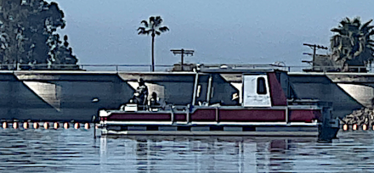 IMG_8754.PNG