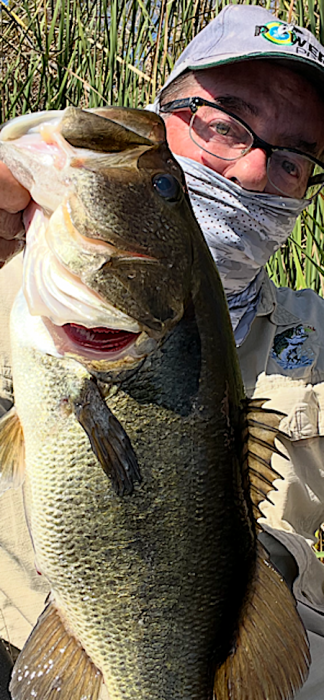 four quarter sd river 2 24.PNG