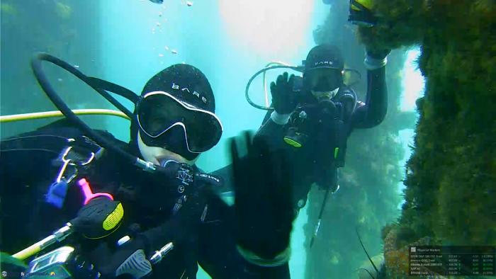 Scripps Pier underwater webcam 3.png