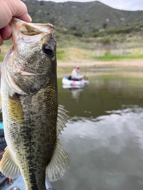 That's corso enthusiast in the background.