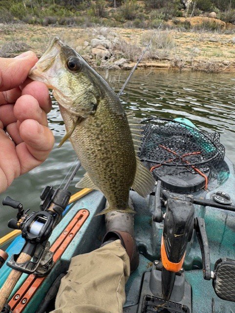 Only fun size one I caught all day.