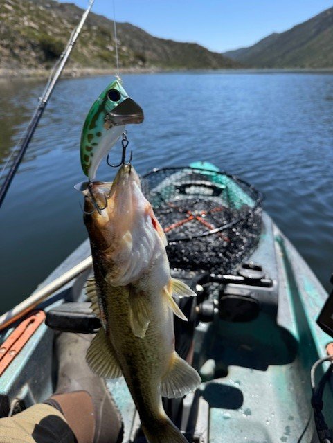 Crawler fish