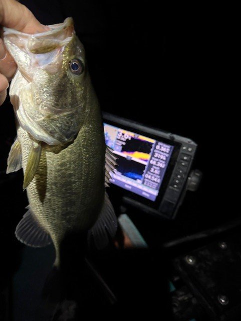 Love catching fish in the dark