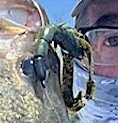 IMG_0209.jpg