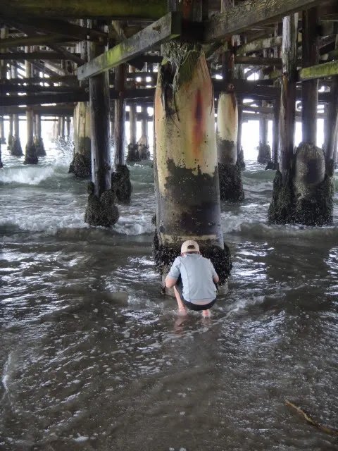 CrystalPier511090clsz.jpg