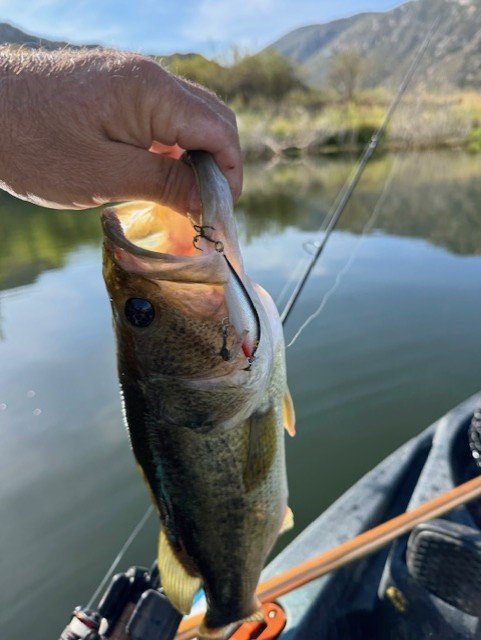This is fuuuun on a light rod.
