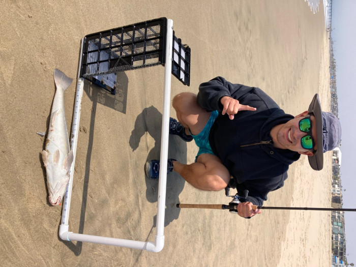 1 June 2024 Hermosa 22 inch corbina.jpg
