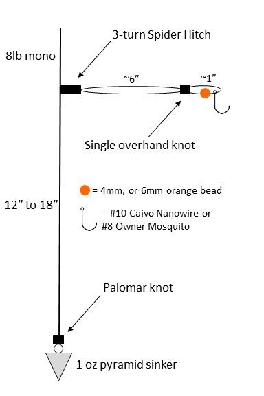 Gangion detail.jpg