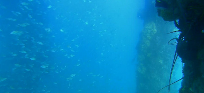 250618 Scripps pier live cam.JPG