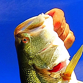 IMG_0745.png