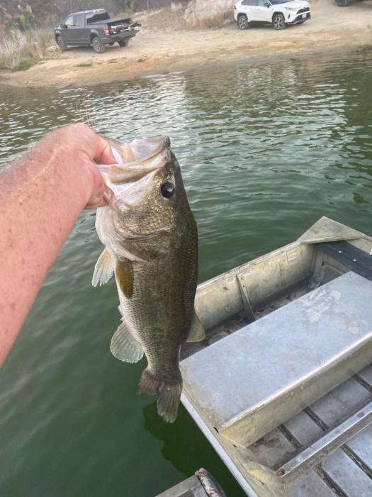 Theo see I only caught my fish