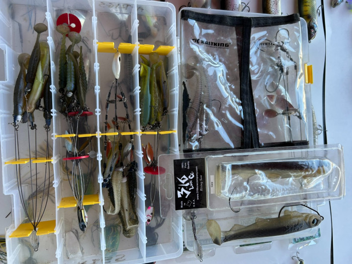 A-rigs Swimbaits.jpg