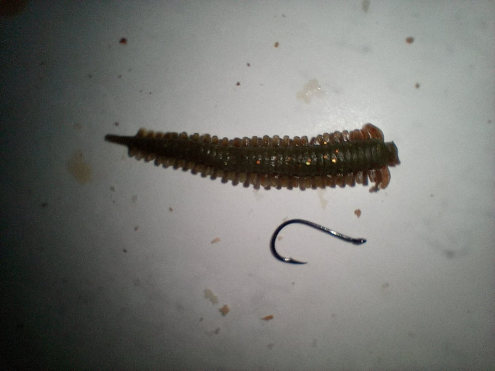 Gulp Sandworm w 6 mosquito.jpg
