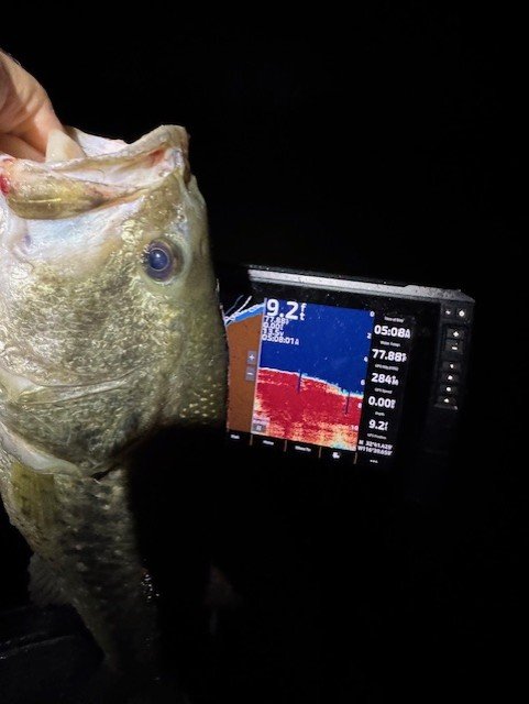 first fish and over 3#