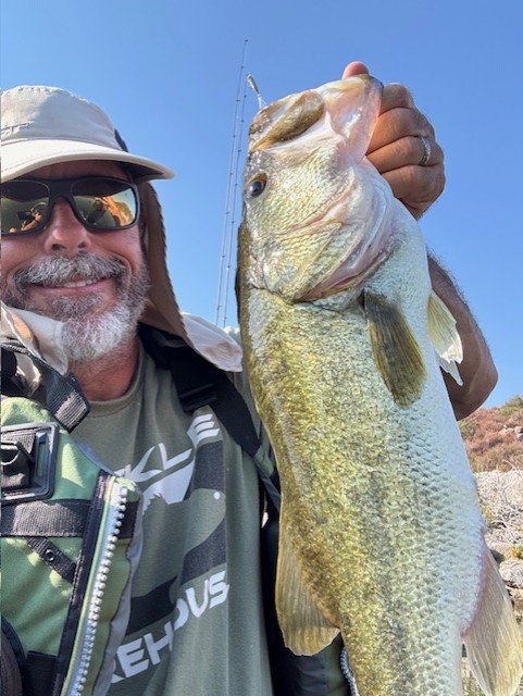 If this fish was chubby she'd be amazing.