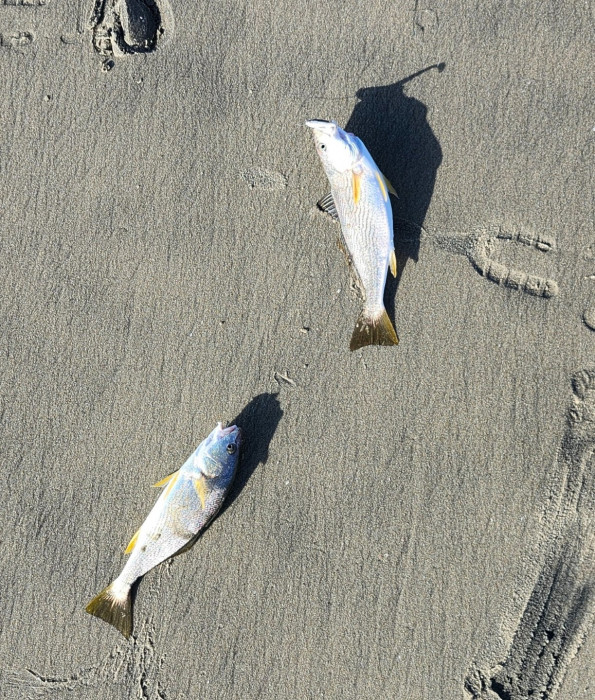 20250828_175150.jpg