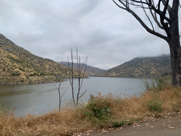 46879BEC-22E7-46D9-A3EA-54ABD4962DDA.jpeg