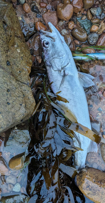 Screenshot 2025-10-27 222911.png