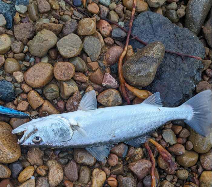 Screenshot 2025-10-27 222842.png