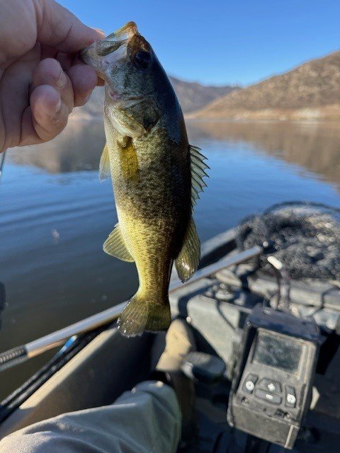 This is what I call sample size