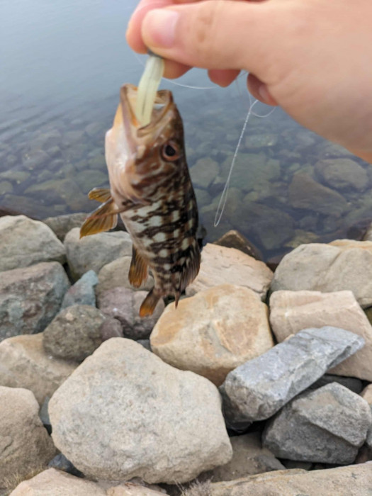 0c4cdd10-7f87-4fc3-a4cc-19e787852907 (1).jpg