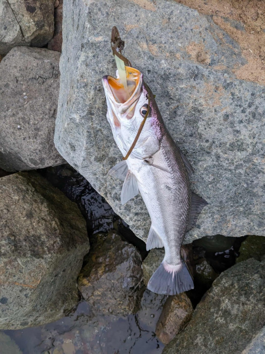 0615d0e0-8723-4c63-af85-f281a6e4b18f (1).jpg