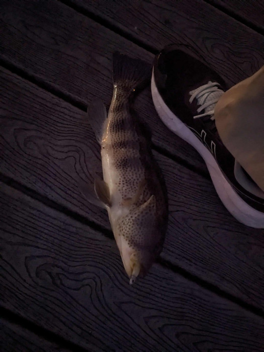 afe519f6-449b-41ab-8e33-75d73b77df05 (1).jpg