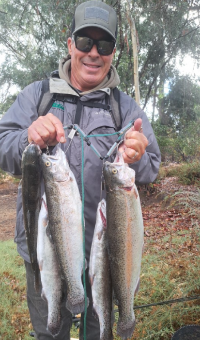 Screenshot 2025-11-17 071550.png