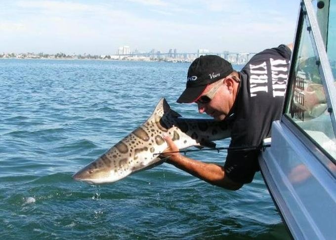 111002 SDB scottshark release1.JPG