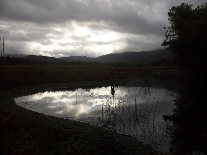 121021 LL cloudy reflections LNDSCP.jpg