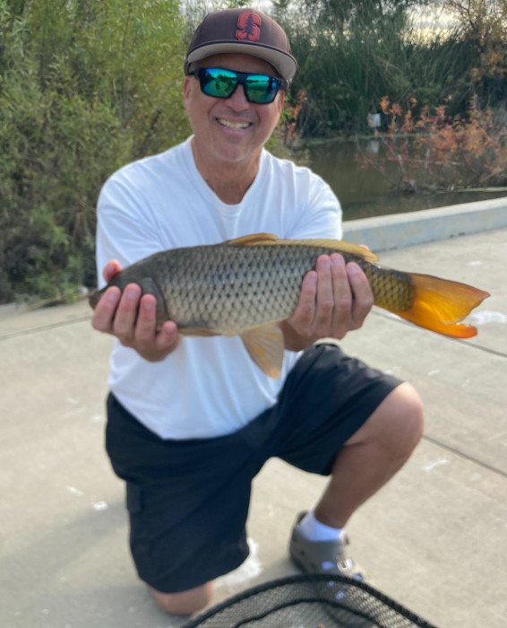 Carp 22 Nov 2025.jpeg