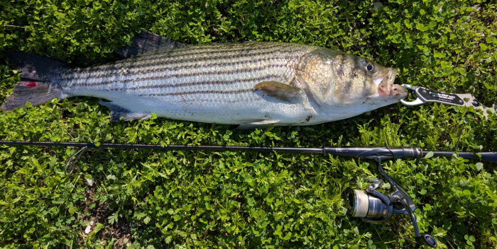 PXL_20260117_200930888.MP (1).jpg