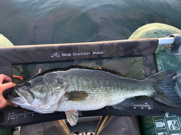 Length: Approximately 24 in.<br />Weight: 8lb 4oz