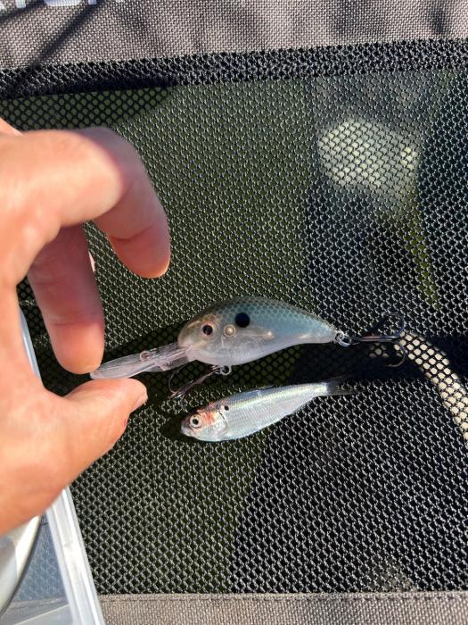 I guess matching the hatch isn’t foolproof