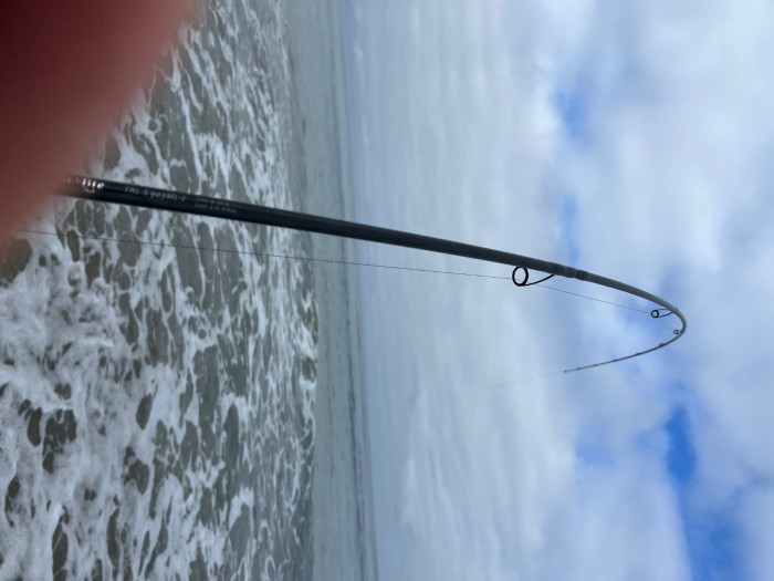 IMG_4082.jpeg