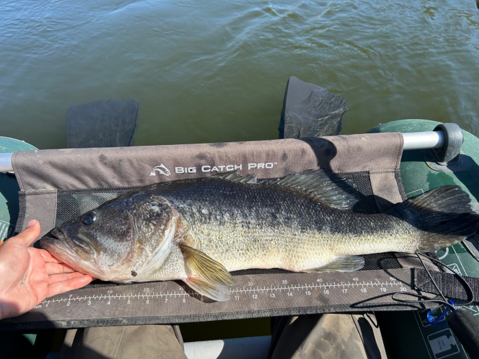 Length: Approximately 24in<br />Weight: 6lb 4oz