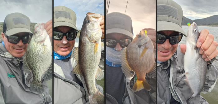 Hodges Slam 2026-02-16 Cat Gill Crap Bass.png