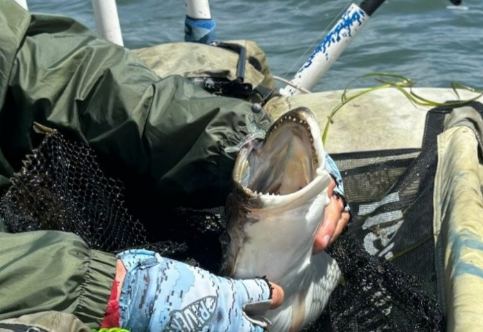 260423 hali in lap.jpg