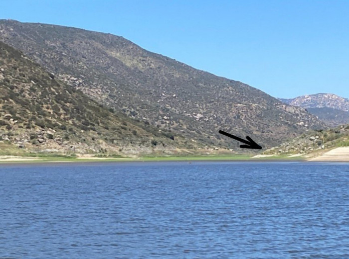 Shad Spawn Photo .jpg