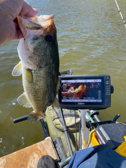 IMG_6438.JPG