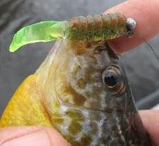 chart flat tail added to fr fry.jpg