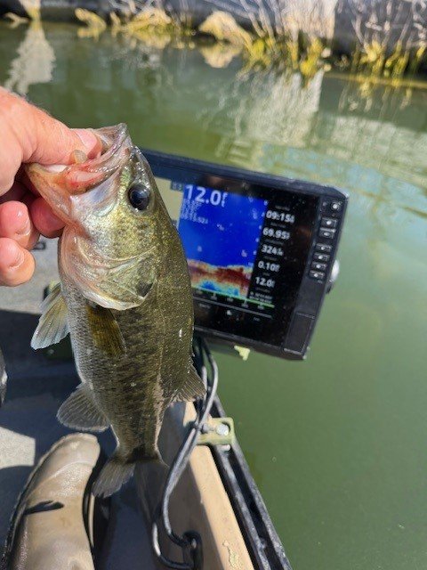 Look at the color of the water. Not the fun size fish. :)