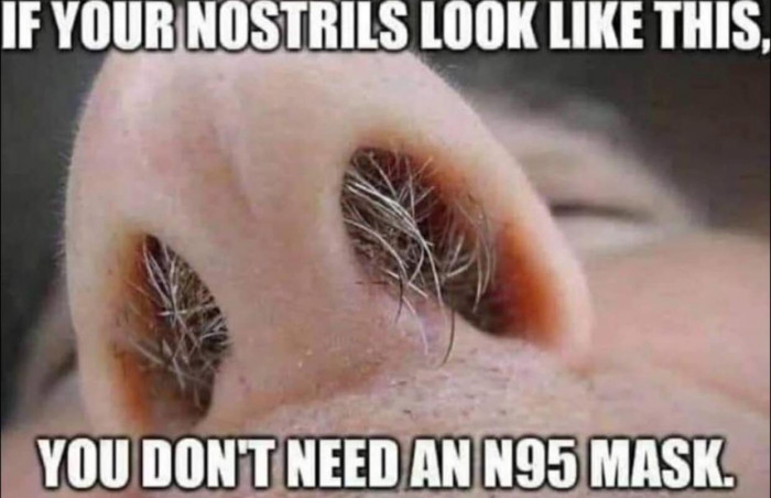 mask nostrils.jpg