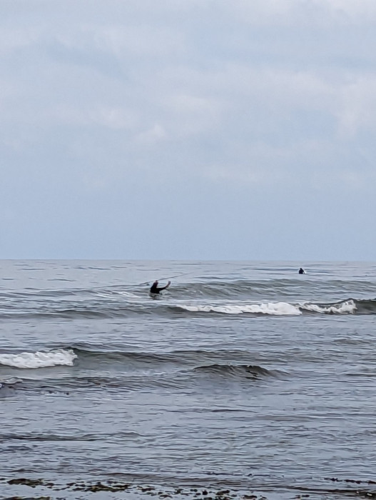 PXL_20230624_161208591.jpg