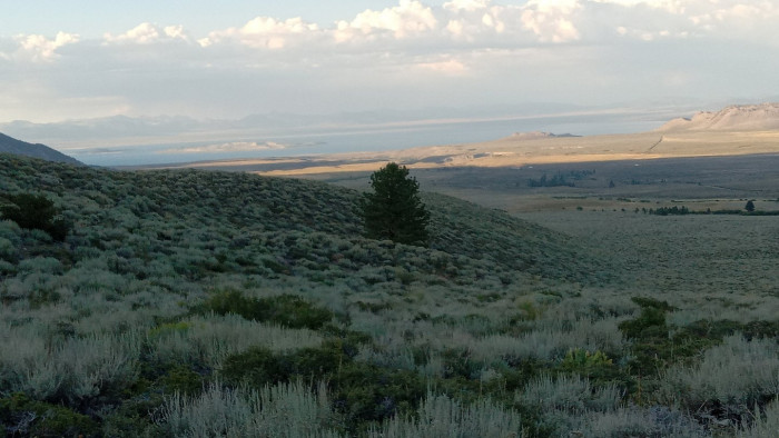 240808 Parker Lake backtrail.jpg