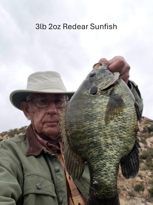 3.b 2 lz Redear Sunfish.JPG