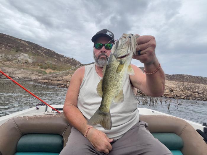 Last minute spinnerbait fish