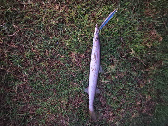 20261006_062857.jpg
