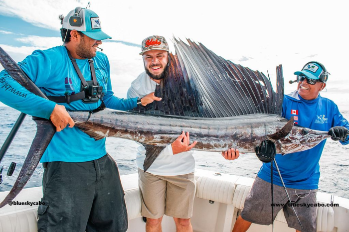 sailfish-cabo-charter.png